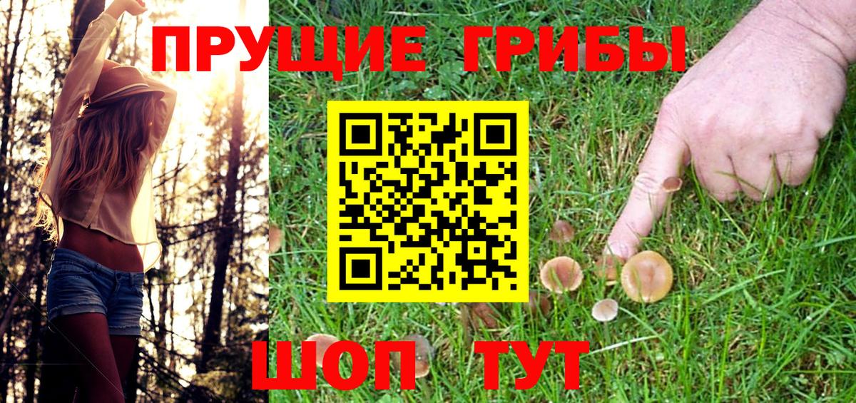 Кыштым  Псилоцибиновые грибы MAGIC MUSHROOMS  как найти   Вход с VPN 